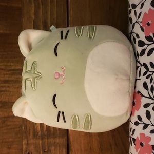 5" Chase the Cat Squishmallow